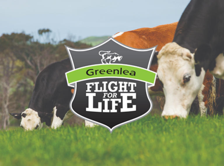 Greenlea Flight for Life